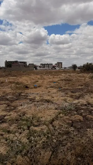 Prime 50 * 100 Plot in Ruai