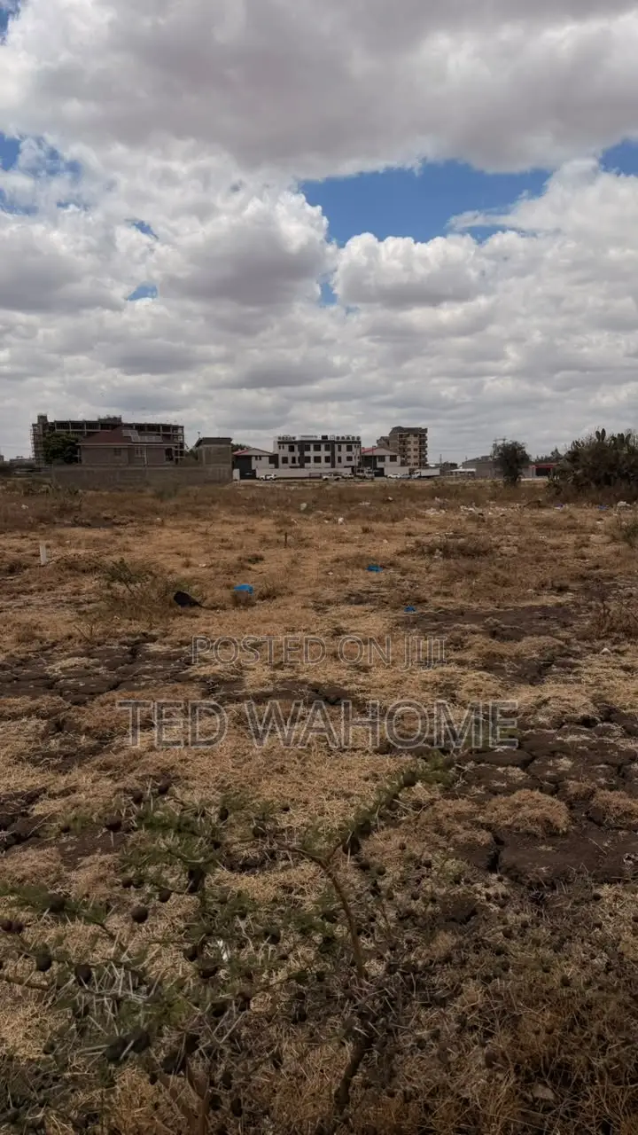 Prime 50 * 100 Plot in Ruai