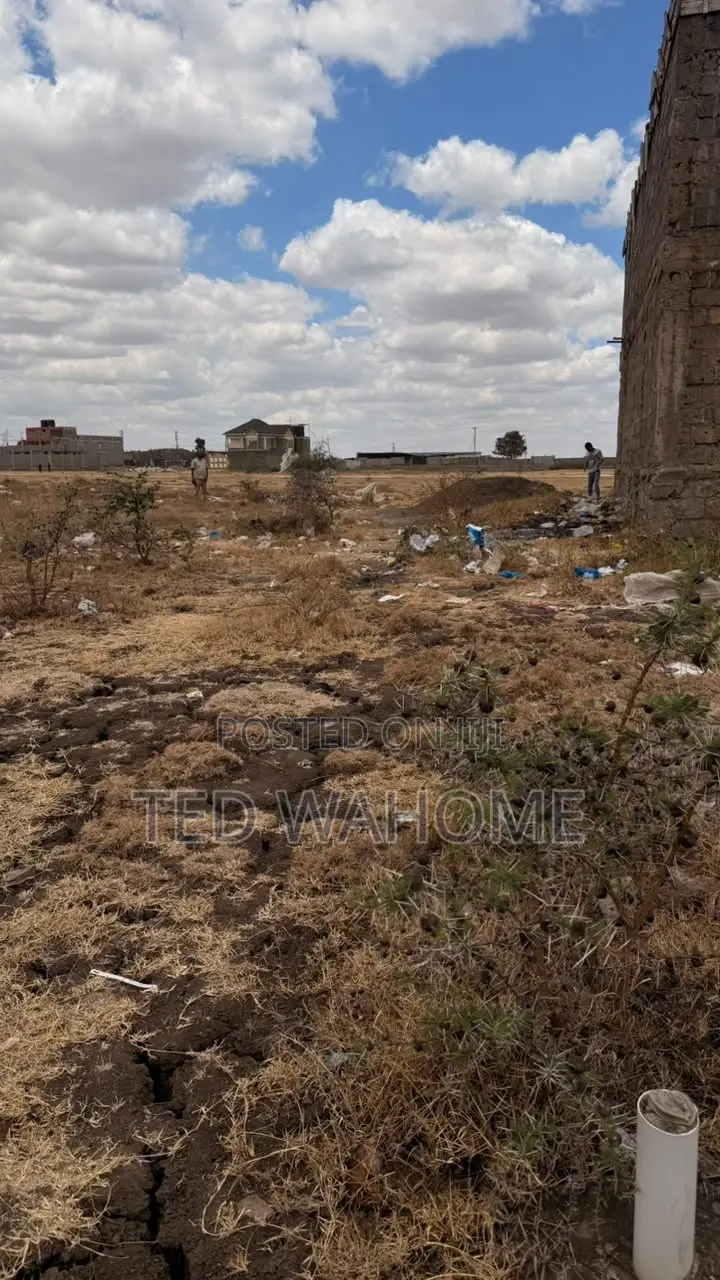 Prime 50 * 100 Plot in Ruai