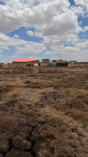 Prime 50 * 100 Plot in Ruai