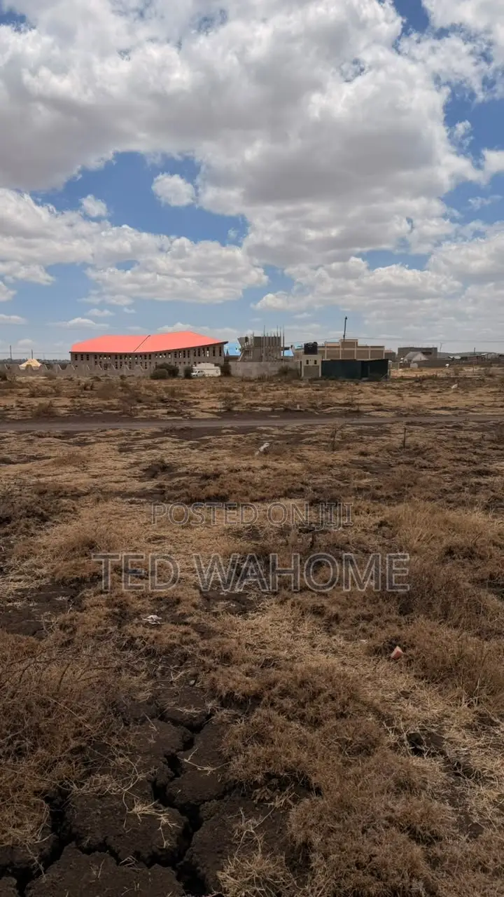 Prime 50 * 100 Plot in Ruai