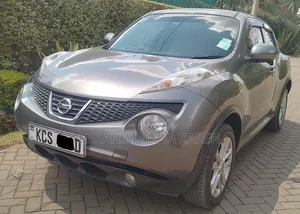 Nissan Juke SV Automatic 2011 Gray