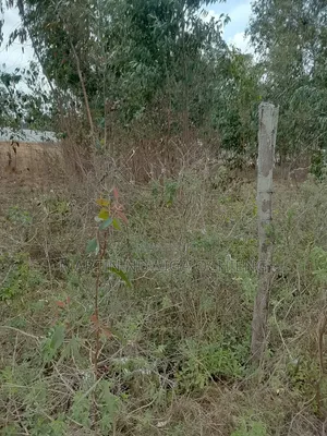 Prime 1/2 Acre Land Along Bogani Road Next to Qwetu Residence