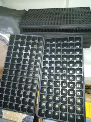 Young Plant Starter Seedling Trays - Wholesale
