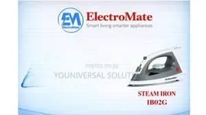 Electromate Steam Iron Box