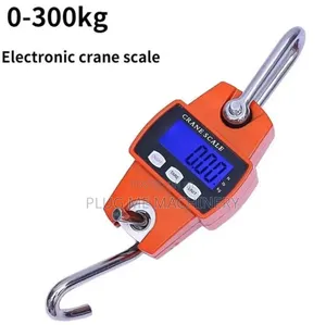 Good Performance 300kg Capacity Crane Scale / Top Hanging Scale