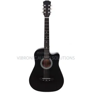 Acoustic Box Guitar