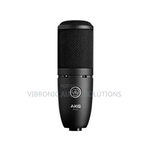P120 Condenser Microphone