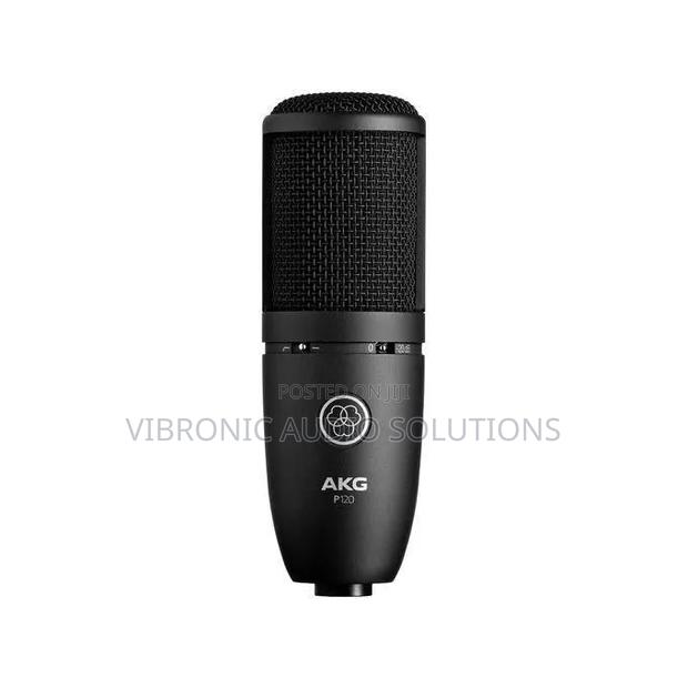 P120 Condenser Microphone - main view