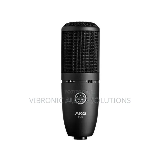 P120 Condenser Microphone