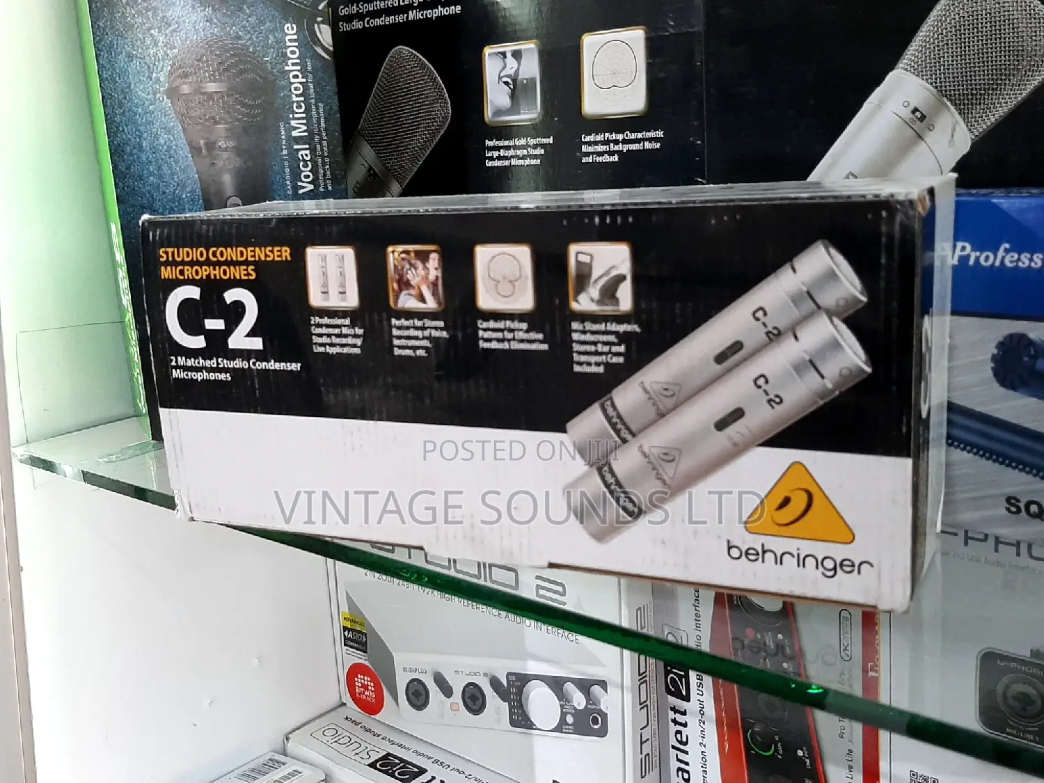 C2 Studio Codenser Microphone (Pair)