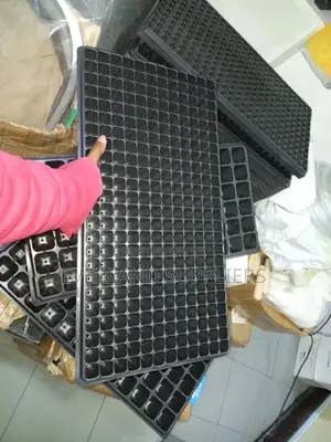 Organized Crop Starter Seedling Trays - Wholesale