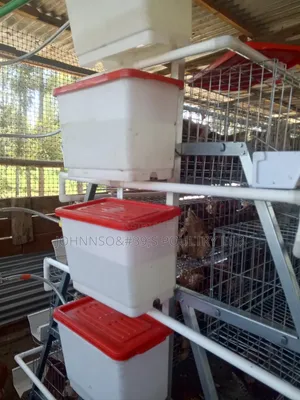 Battery Cages