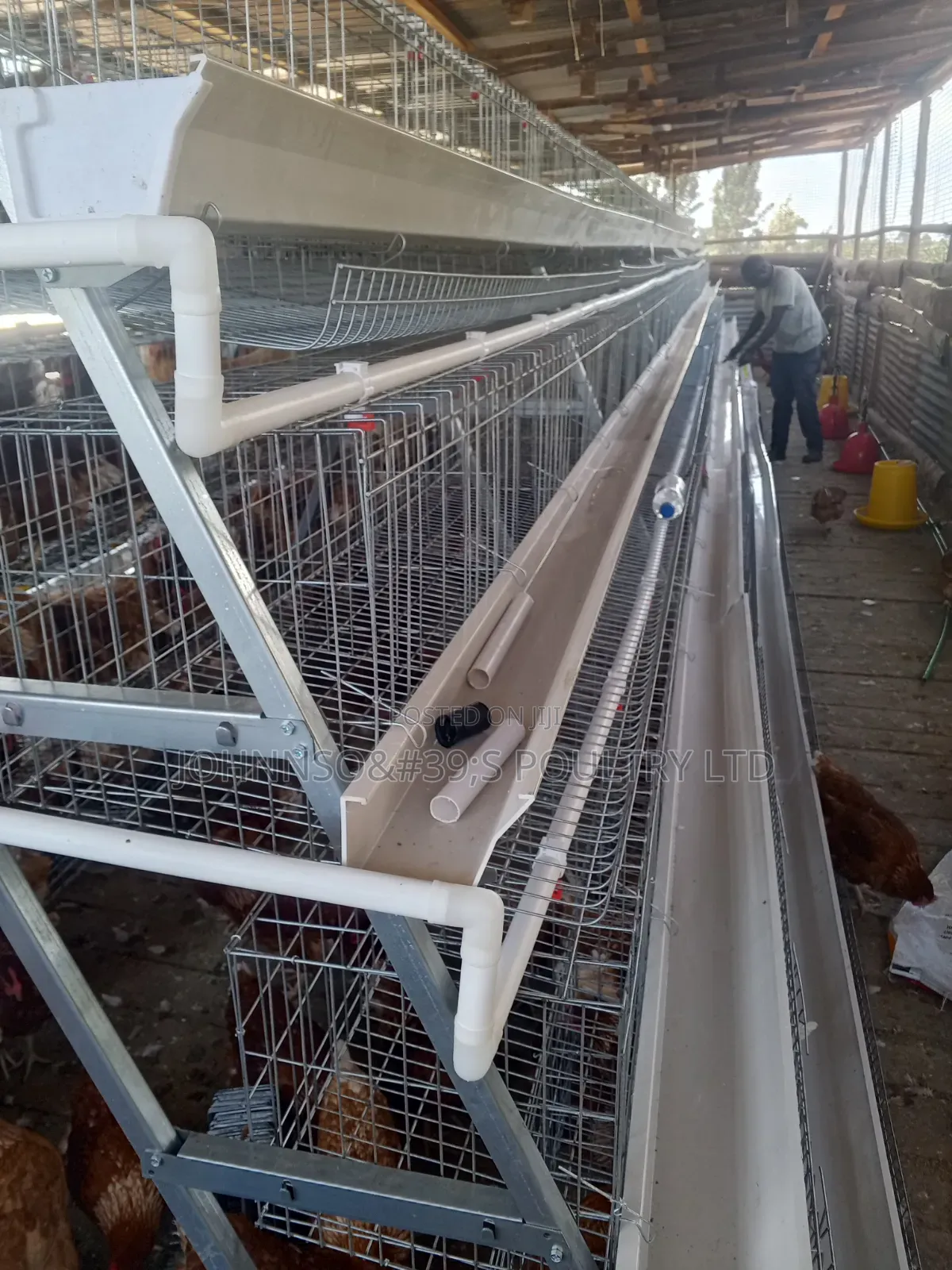 Battery Cages