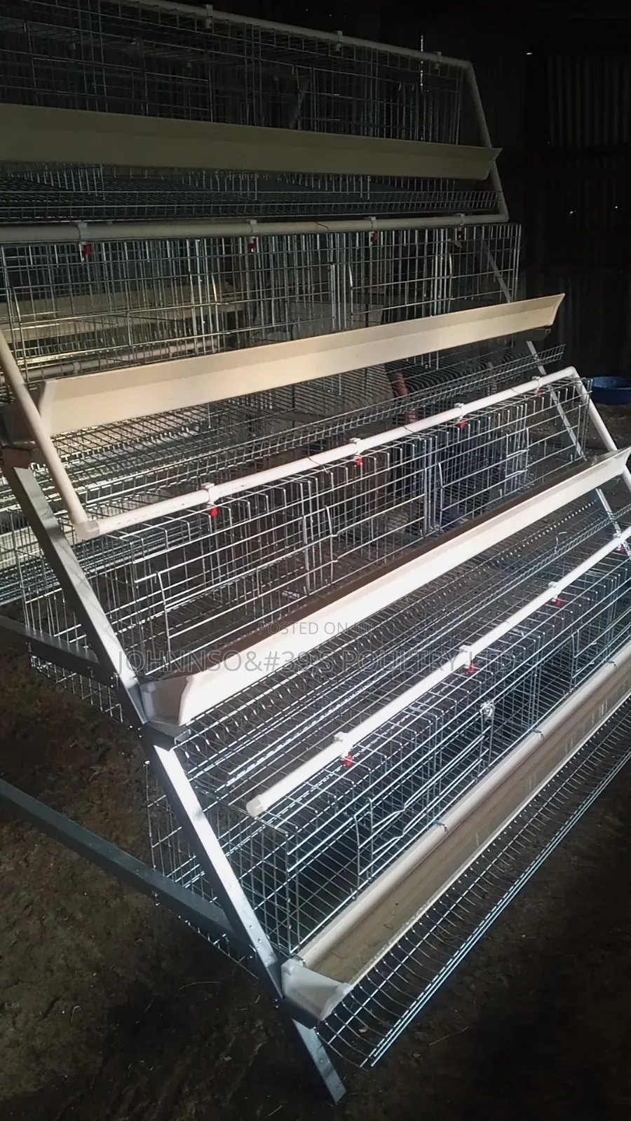 Battery Cages