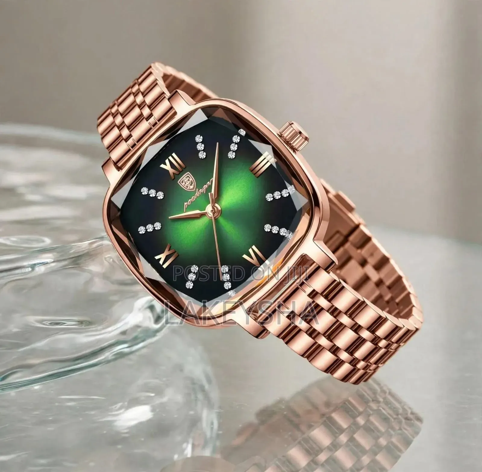 POEDAGAR Ladies Watch