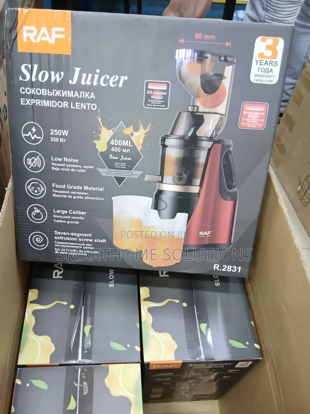 Raf Slow Juicer
