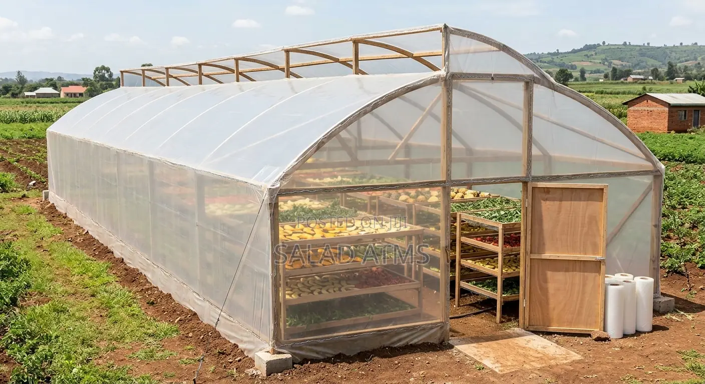 Solar Dryer