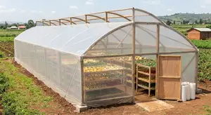 Solar Dryer