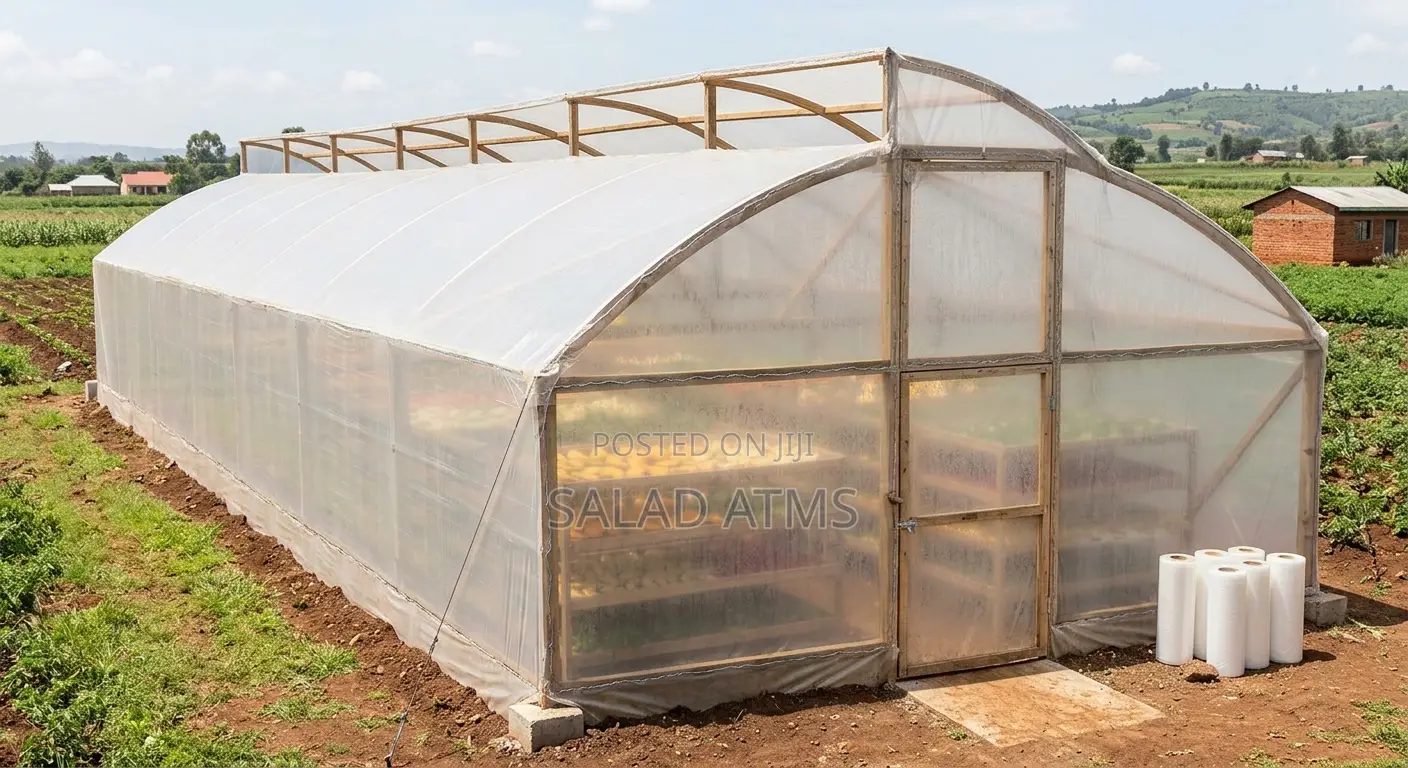 Solar Dryer