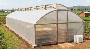 Solar Dryer