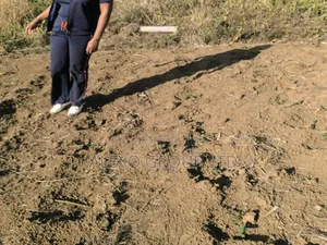 Naivasha Plot for Sale