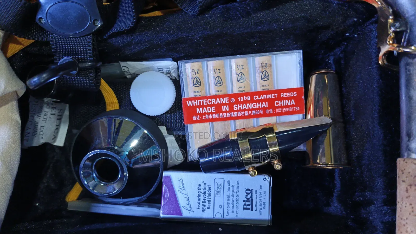 Alto Saxophone