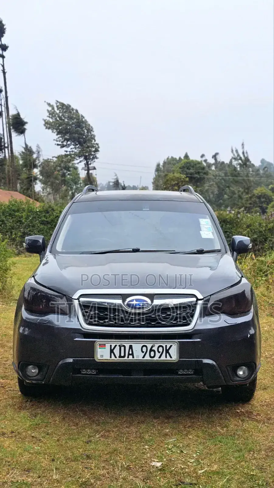 Subaru Forester 2013 Gray