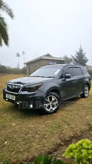 Subaru Forester 2013 Gray