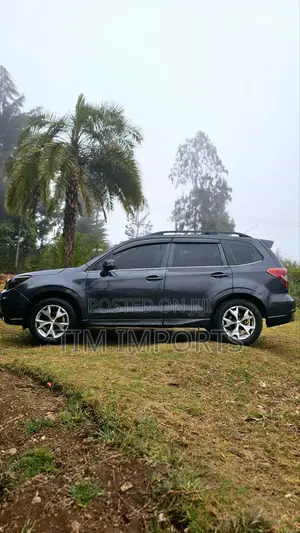 Subaru Forester 2013 Gray