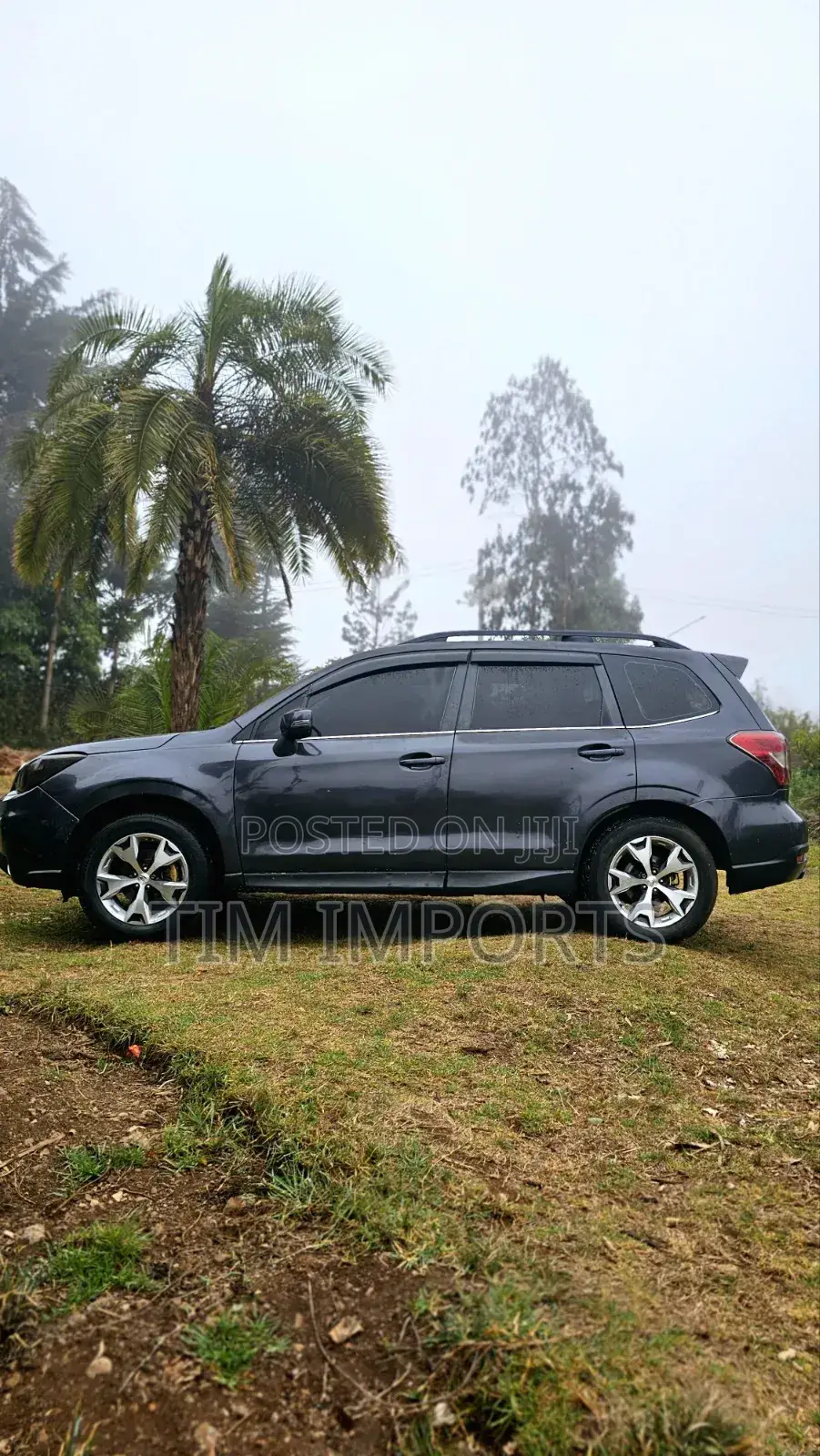 Subaru Forester 2013 Gray