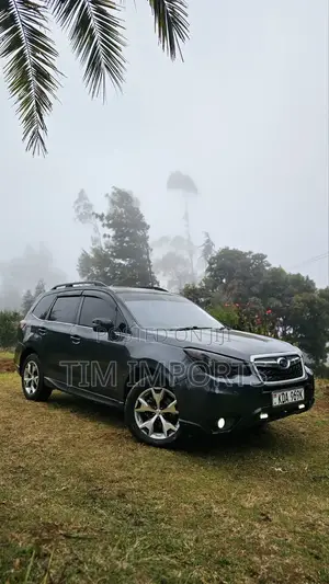 Subaru Forester 2013 Gray