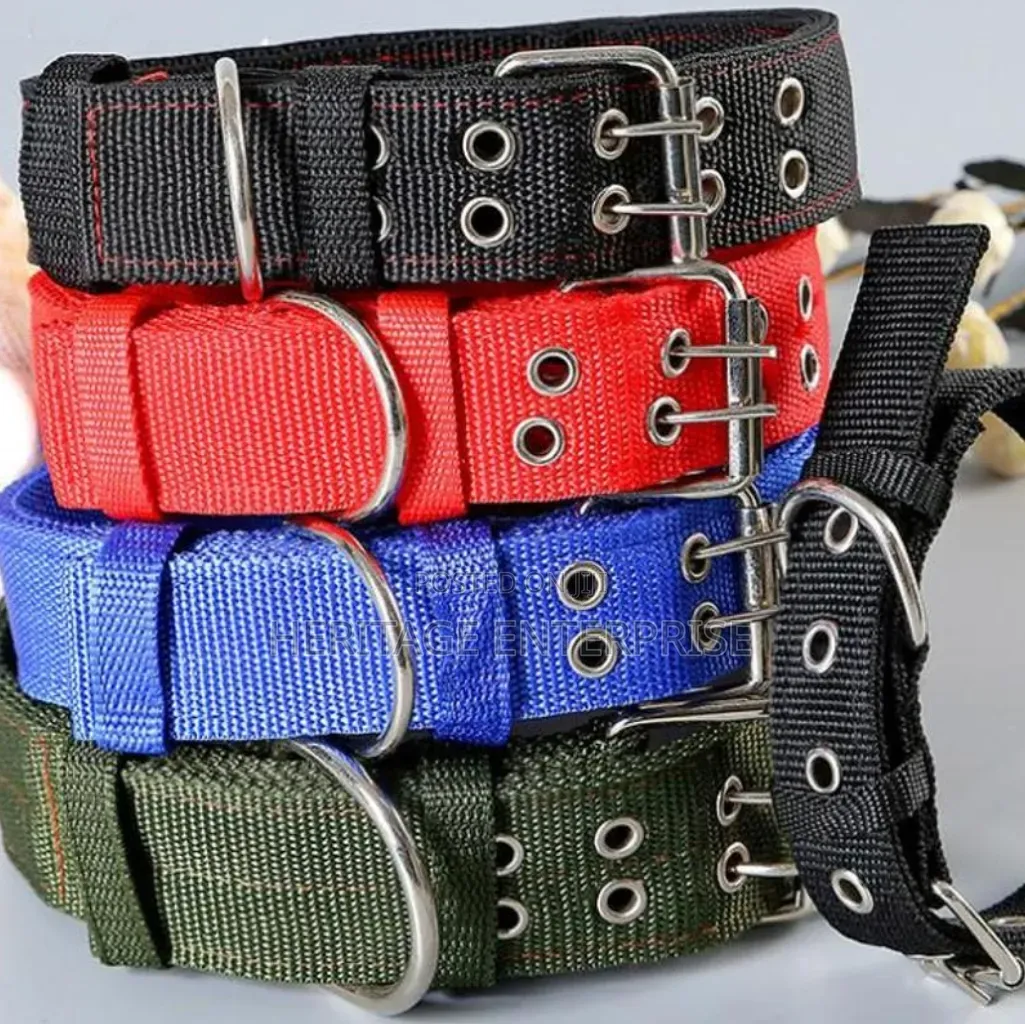 Dog Collar Safety Release.