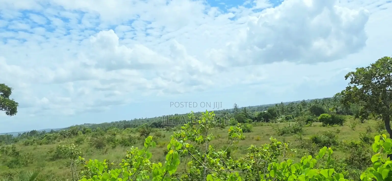 Prime 5-Acre Sloping Site Overlooking Forest and Ocean