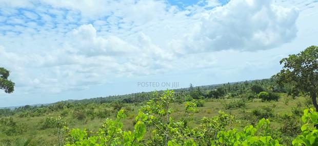 Prime 5-Acre Sloping Site Overlooking Forest and Ocean - thumbnail 9