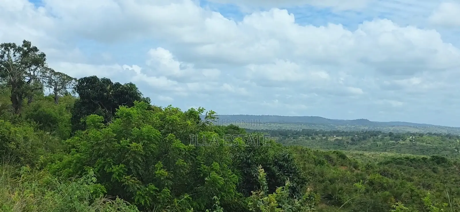 Prime 5-Acre Sloping Site Overlooking Forest and Ocean