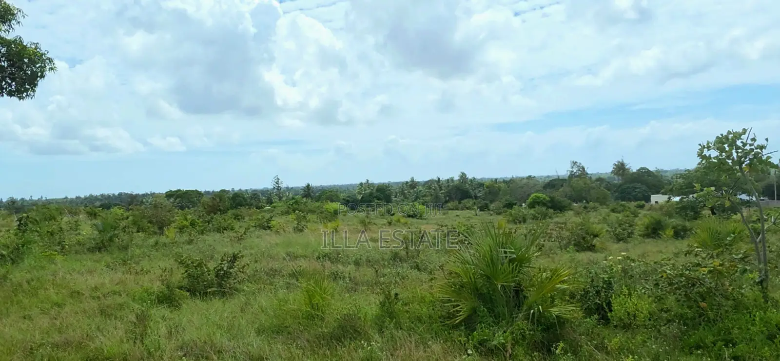 Prime 5-Acre Sloping Site Overlooking Forest and Ocean
