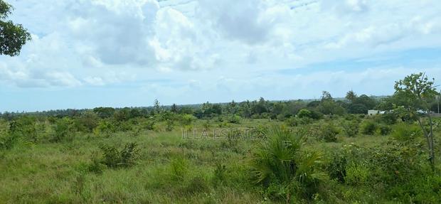 Prime 5-Acre Sloping Site Overlooking Forest and Ocean - thumbnail 6