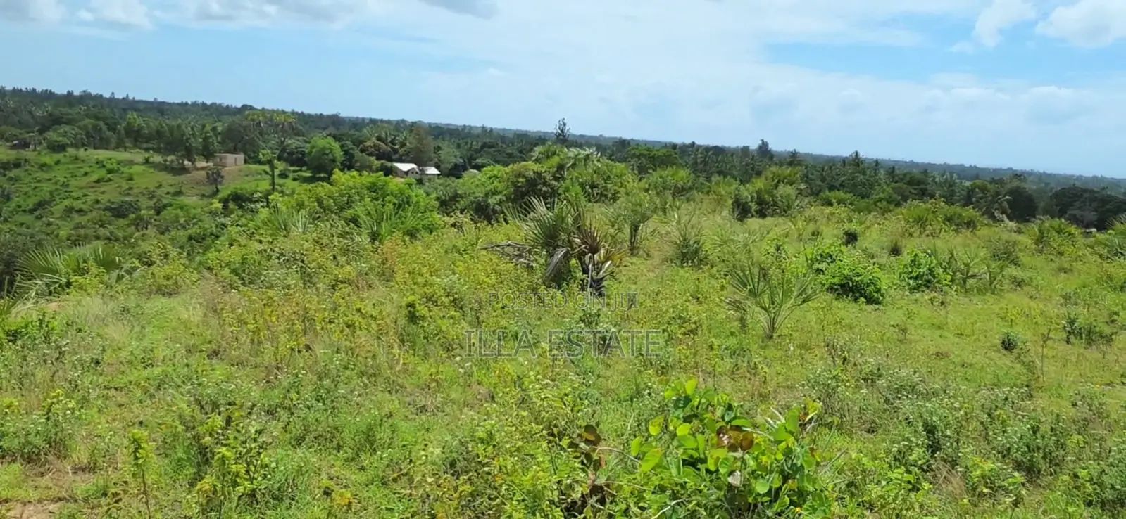 Prime 5-Acre Sloping Site Overlooking Forest and Ocean