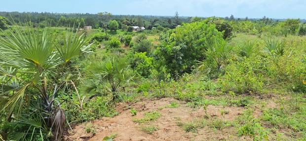 Prime 5-Acre Sloping Site Overlooking Forest and Ocean - thumbnail 7