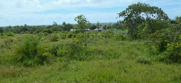 Prime 5-Acre Sloping Site Overlooking Forest and Ocean - thumbnail 10