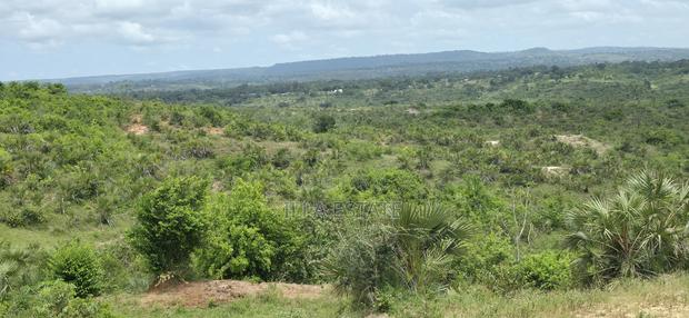 Prime 5-Acre Sloping Site Overlooking Forest and Ocean - thumbnail 5
