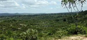 Prime 5-Acre Sloping Site Overlooking Forest and Ocean