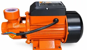 B TALI WB 80 Booster Pump 1hp