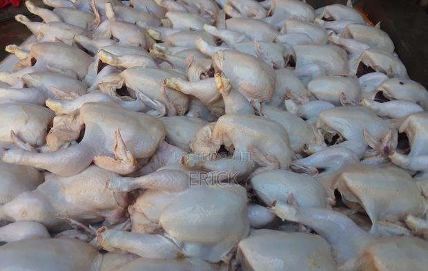 Broiler Chicken