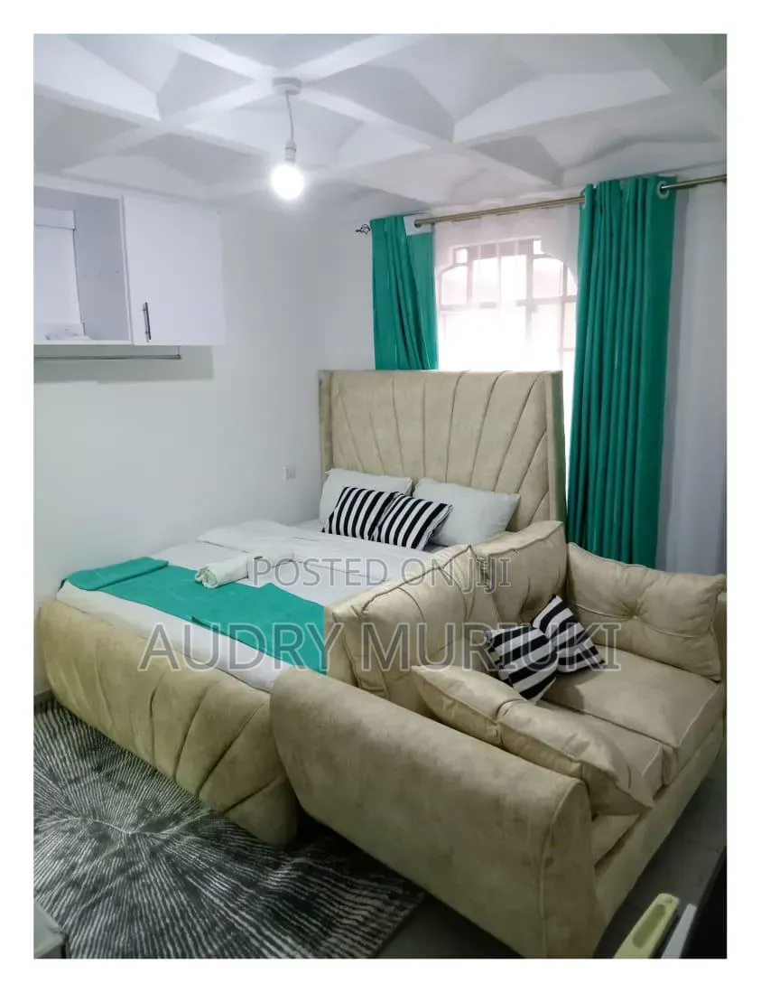 Modern Studio Airbnb TRM Drive Roysambu
