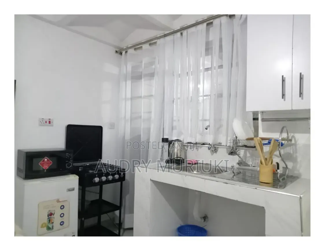 Modern Studio Airbnb TRM Drive Roysambu