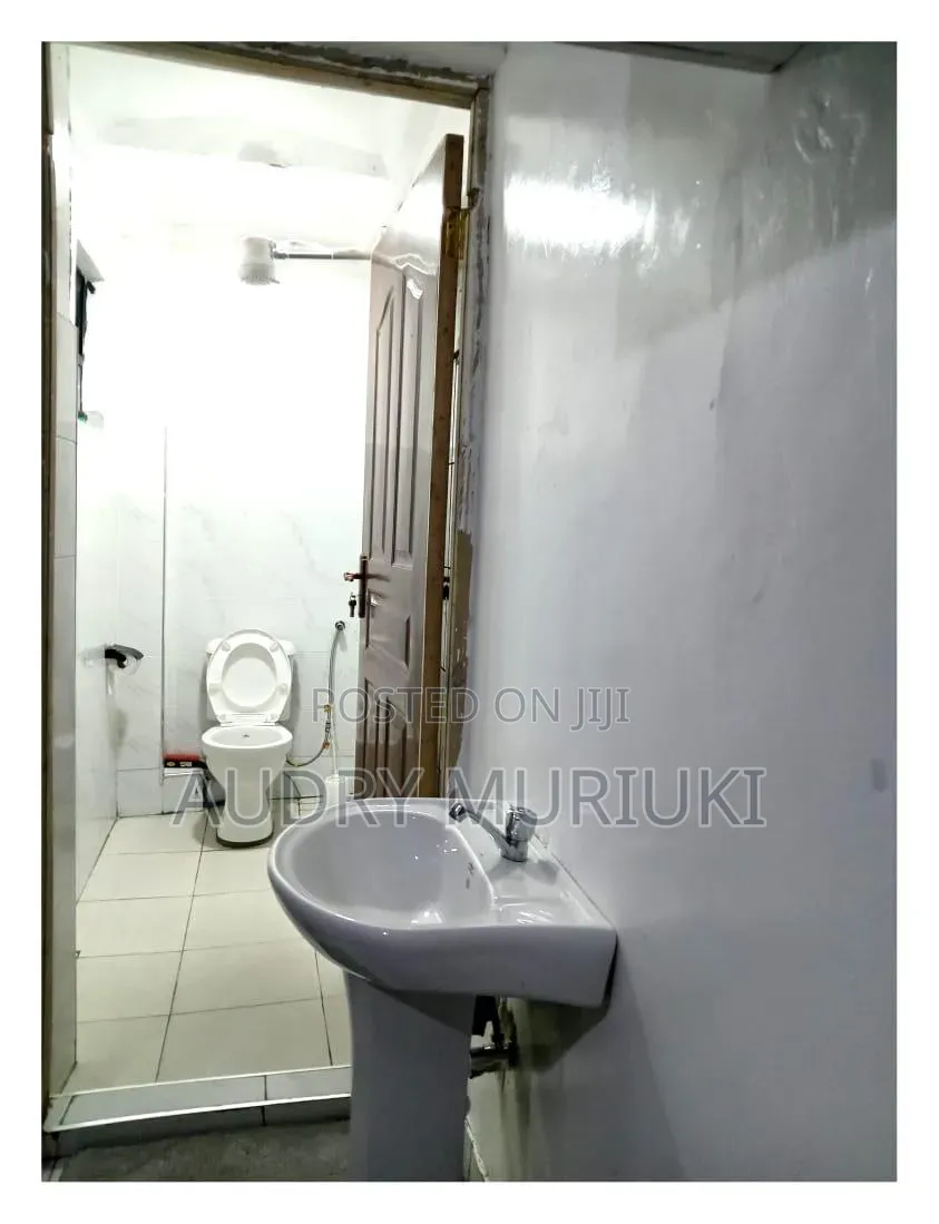Modern Studio Airbnb TRM Drive Roysambu