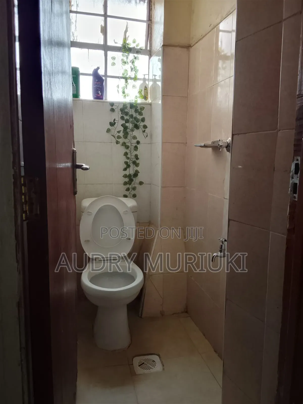Teal One Bedroom Airbnb in Roysambu TRM Drive Thika Rd