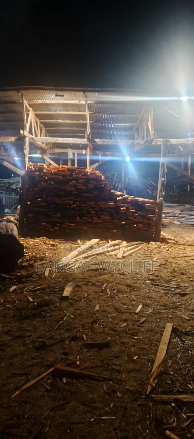 Naturally Beautiful - main view